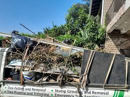 Best Shed Removal  in Ellerslie, GA